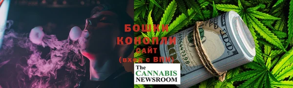 гидра Абаза