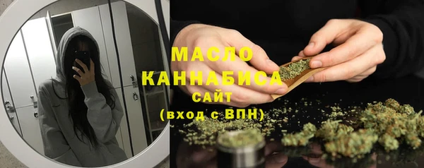 гидра Абаза