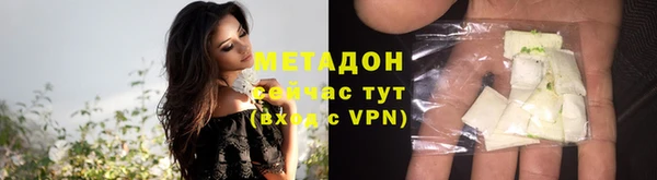 гидра Абаза