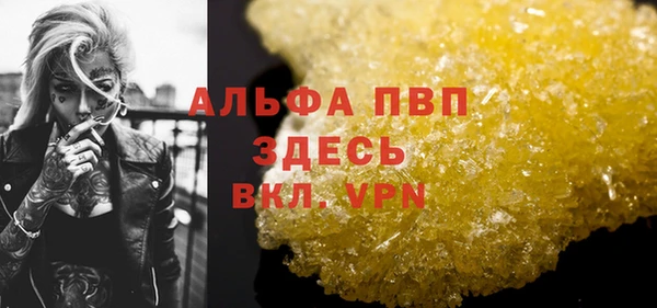 гидра Абаза