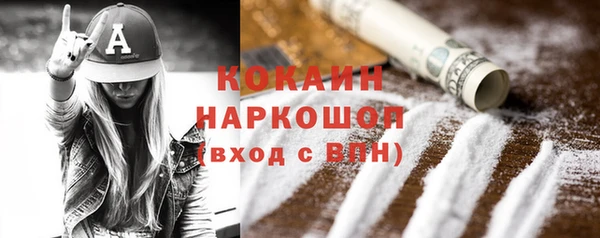 гидра Абаза