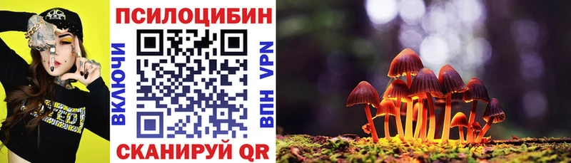 Псилоцибиновые грибы GOLDEN TEACHER  KRAKEN ссылки  Отрадный 